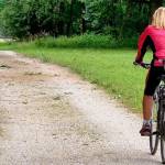 Lorem ipsum dolor sit amet Zrino